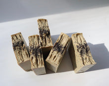 Load image into Gallery viewer, MATCHA POPPINS